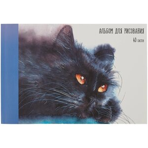 Альбом для рисования 40л "Котик" склейка, мел. картон, мат. ламинация