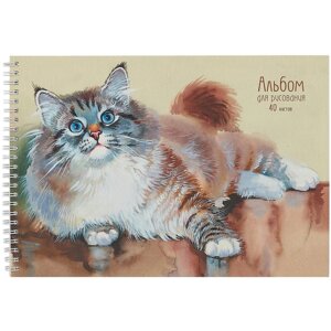 Альбом для рисования 40л "Пушистый котик" гребень, мел. картон, мат. ламинация, выб. лак