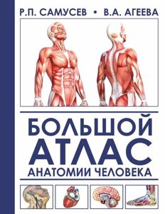 Большой атлас анатомии человека. 2-е издание, исправленное и дополненное
