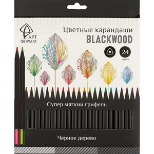 Цветные карандаши «Blackwood», 24 цвета