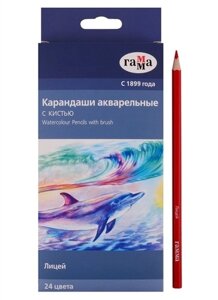 Цветные карандаши «Лицей», 24 цвета