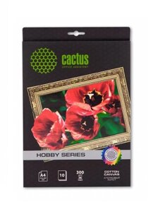 Холст Cactus CS-CA426010 A4/300г/м2/10л. для струйной печати, хост