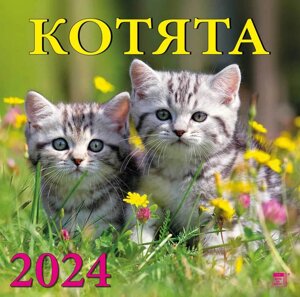 Календарь 2024г 300*300 "Котята" настенный, на скрепке