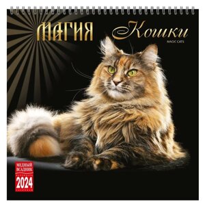 Календарь 2024г 320*320 "Магия кошки" настенный, на спирали