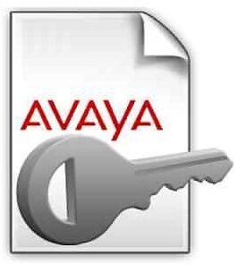 Ключ активации avaya 228747 UCE R5.2+ AE SVCS R5. X UNFD DSKTP /E