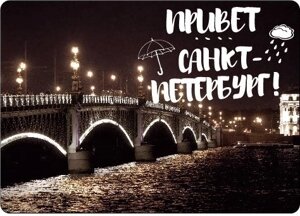 Магнит СПб Троицкий мост (фото) (9х5,5) (винил) (МВ2019-004)