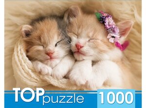 Пазл Два спящих котенка TOPpuzzle 1000 элементов ГИТП1000-2142