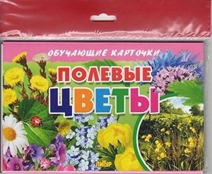 Полевые цветы/европодвес