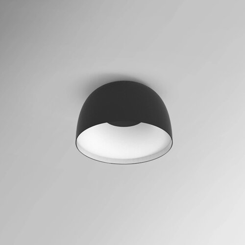 Потолочный светильник Imperiumloft BRIM01 101381-26