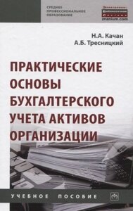 Практические основы бухгалтерского учета активов организации