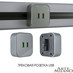 Розетка USB трековая Arte Milano 380022TS/USBx2 Grey