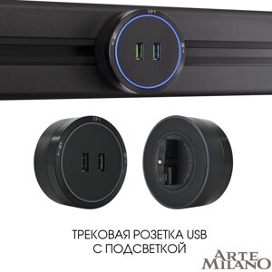 Розетка USB трековая Arte Milano 380066TS LED/USBx2 Black