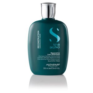 Шампунь для поврежденных волос SDL R Reparative Low Shampoo (16408, 250 мл)