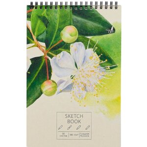 Скетчбук А5+ 30л "Весенние цветы" белый офсет, 180г/м2, евроспираль