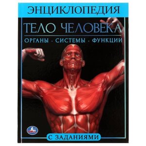 Тело человека