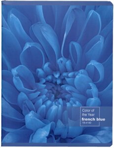 Тетрадь 96 листов, линейка, Французский синий мат. ламинация