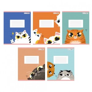 Тетрадь "Пушистые коты (Универсальная плашка)12 листов, линия