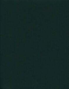 Тетрадь "Зеленый бумвинил", клетка, 96 листов