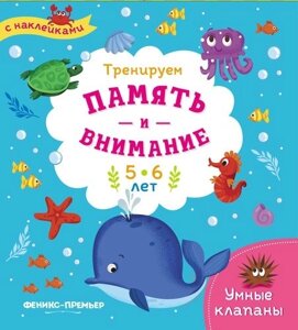 Тренируем память и внимание. 5-6 лет. Книжка с наклейками