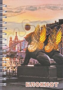Записная книжка "Санкт-Петербург. Банковский мост, ночь", А6, 120 листов