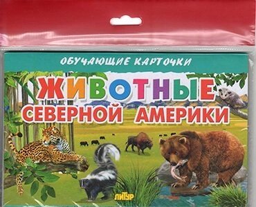 Животные Северной Америки/европодвес