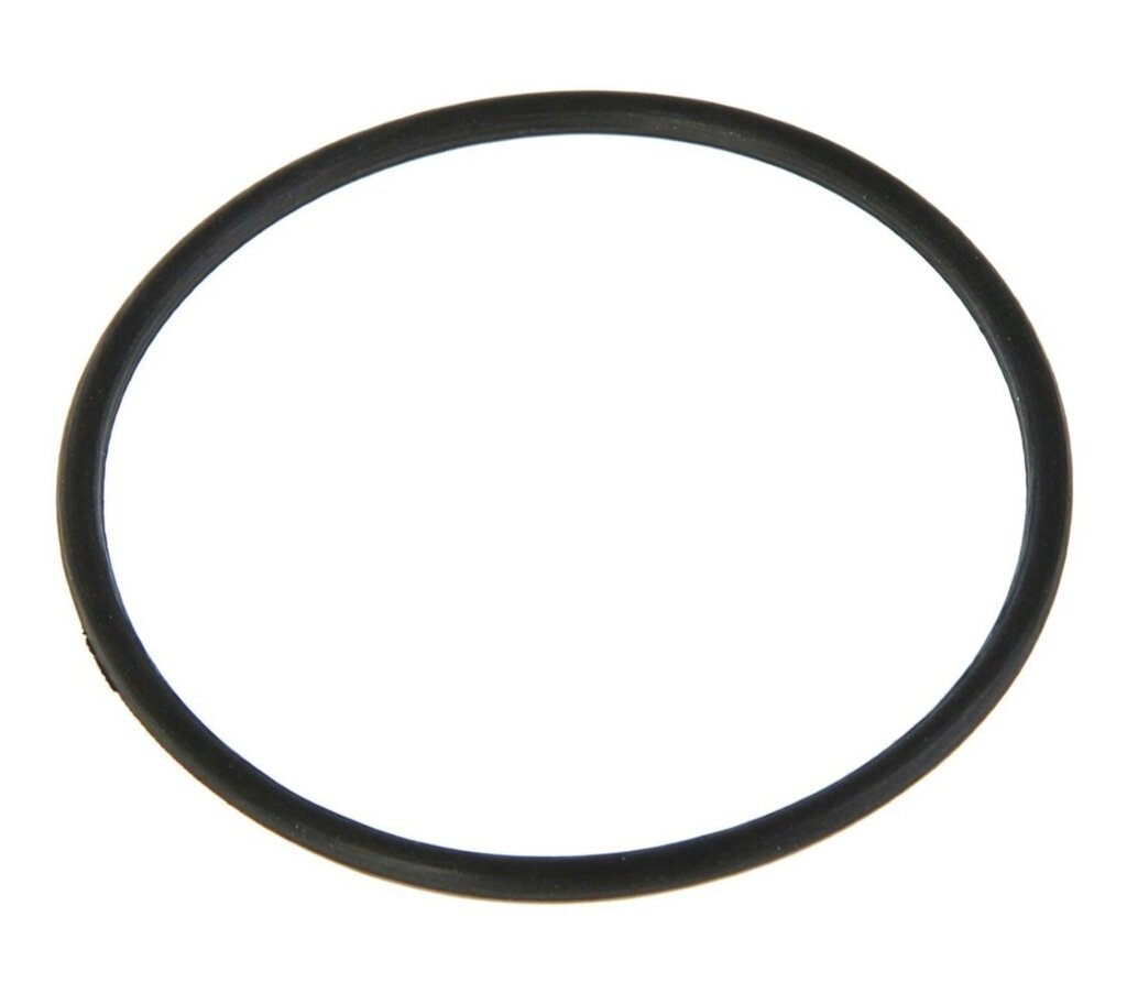 Прокладка резиновая (кольцо уплотнительное) для корпусов Гейзер 10ВВ от компании Системы Очистки Воды - фото 1