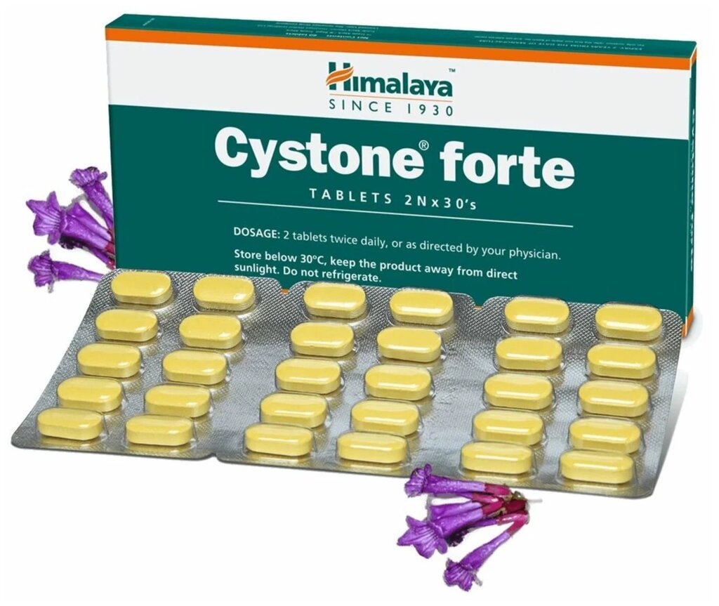 CYSTONE FORTE HIMALAYA HERBALS (ЦИСТОН ФОРТЕ ХИМАЛАЯ ХЕРБАЛС) (60 ТАБЛЕТОК) от компании АЮРВЕДА-ТУТ.РФ - фото 1