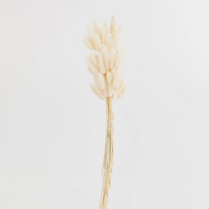 Букет декоративный, 60 см, сухоцветы, бежевый, Колоски, Dried flower