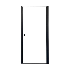 Душевая дверь в нишу Parly DE90B 90x185 с черным профилем