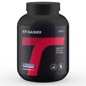 Гейнер Fit Gainer, вкус шоколад, 2500 г, Академия-Т