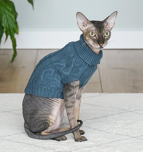 Lelap одежда свитер для кошек и собак "Bloom" голубой (L)