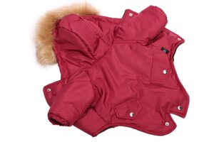 Lion зимняя куртка для собак: парка, красная (XS)