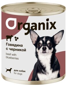 Organix консервы для собак Заливное из говядины с черникой (100 г)