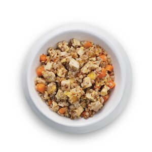 Petsmack филе индейки с тыквой, морковью и гречневой крупой для собак (200 г)