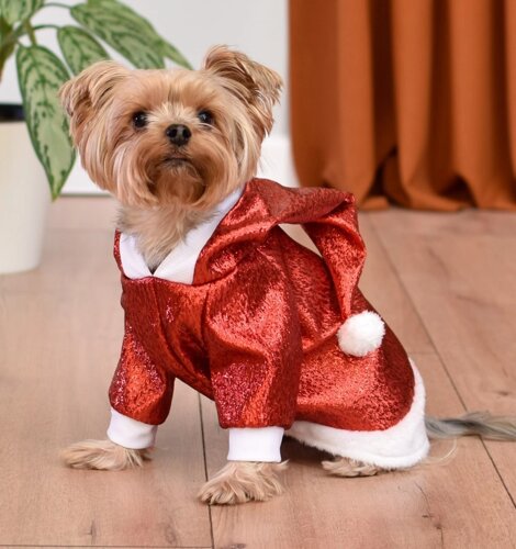 Tappi одежда костюм новогодний для кошек и собак "Сэлли" красный (S)