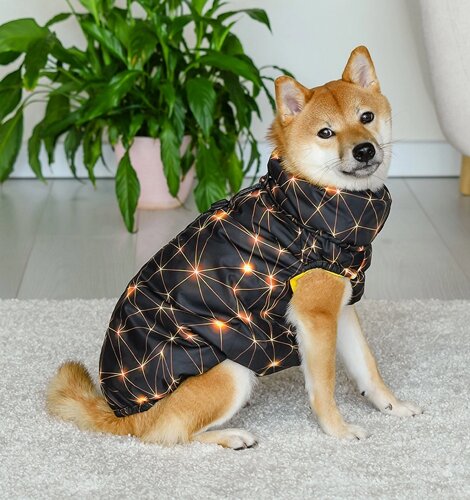 Tappi одежда жилет "Пандора" для собак (M)