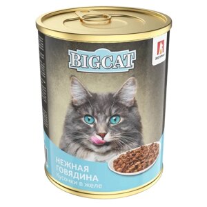 Зоогурман консервы для кошек с говядиной, кусочки в желе (350 г)