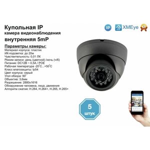 5Шт DVS300IP5mp (POE) внутренняя IP камера 5мп с ик до 20м