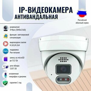 Антивандальная купольная IP-видеокамера 8Mpix 2.8mm/встроенный микрофон и динамик/модуль PoE/с функцией deterrence