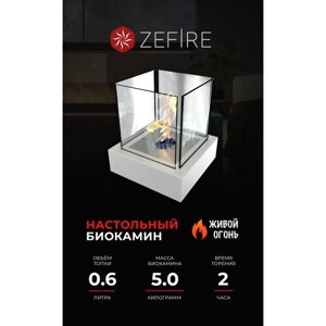 Биокамин настольный ZeFire Quant metall белый для дома и квартиры