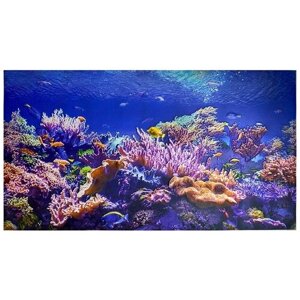 Фартук-панно ПВХ Коралловый риф 1002*602 в колличестве 5 шт. (3,02 м2)