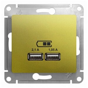 Glossa фисташковый розетка USB 5В/2,1А, 2х5В/1,05А GSL001033 (10 шт.)