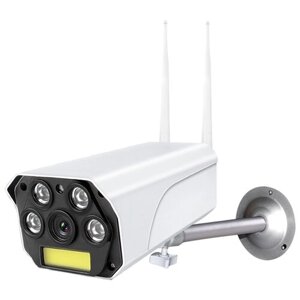 Камера видеонаблюдения Ritmix IPC-270S белый