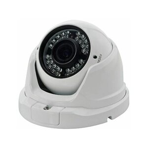Камера видеонаблюдения STI IP1080PV-IR (цифровая, 2 МП, для улицы)