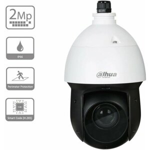Камера видеонаблюдения уличная поворотная 2 Мп Dahua DH-SD49225XA-HNR-S3