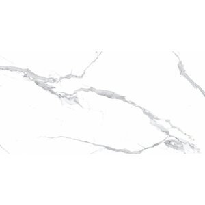 Керамогранит Ceradim Calacatta Splendid Silver белый 60х120 Полированный, уп. 1.44 м2. (2 плитки)