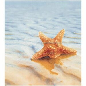 Панно Ceradim Dec Starfish 1 Panno КПН16Starfish1 50х45 см компл. (3 шт.)