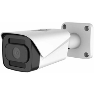 Polyvision PVC-IP2X-NF4P Уличная IP-камера