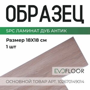SPC ламинат Evofloor Home - Oak Antique (Дуб Антик) - образец