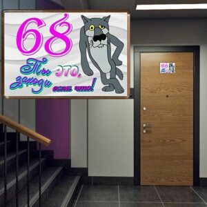 Табличка на дверь № 68 / креативные цифры на дверь из акрила
